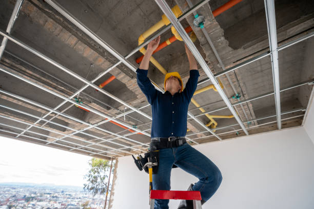 Best Plumbing Inspection Services  in Alondra Park, CA